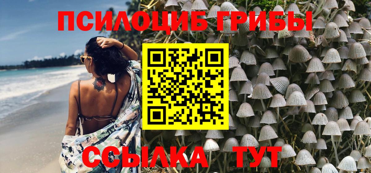 Галлюциногенные грибы Magic Shrooms  Галлюциногенные грибы Magic Shrooms  Можайск  Вход с VPN 